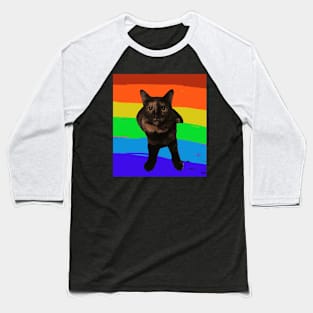 Rainbow Cat 2 Baseball T-Shirt